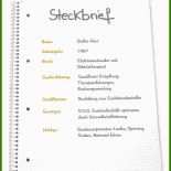 Steckbrief Für Die Eltern Im Kindergarten (praktikum) Muster