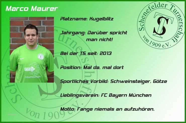 Steckbrief Fussball Muster