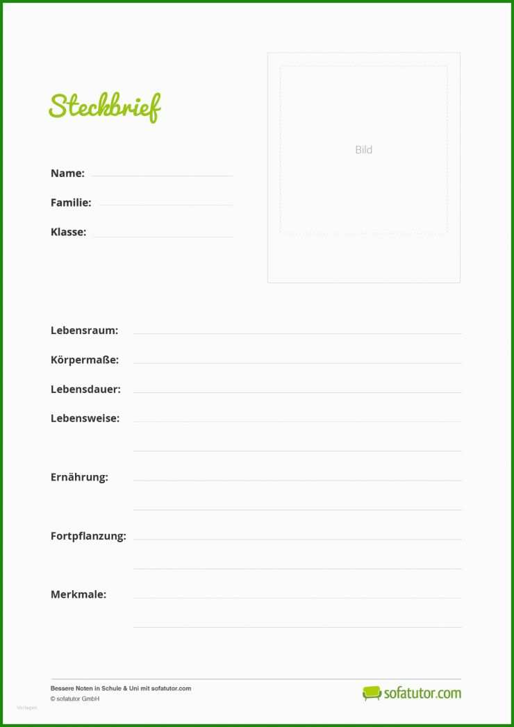 Steckbrief Haustier Vorlage