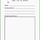 Steckbrief Kita Kind Vorlage 7 Steckbrief Kita Kind Vorlage