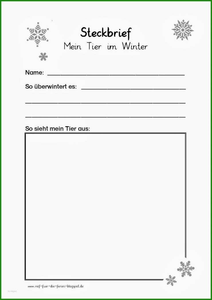 Steckbrief Kita Kind Vorlage