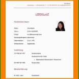 Steckbrief Kita Praktikum Muster