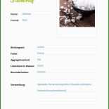 Steckbrief Lehrer Vorlage