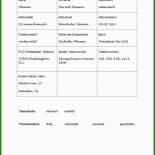 Steckbrief Muster Geschichte
