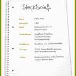 Steckbrief Muster Praktikum