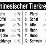 Steckbrief Pferd Vorlage 8 Steckbrief Pferd Vorlage