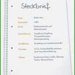 Steckbrief Praktikantin Kindergarten Vorlage