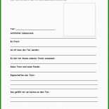 Steckbrief Tier Grundschule Vorlage