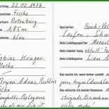 Steckbrief über Sich Selbst Vorlage