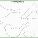 Steckbrief Vorlage Vogel