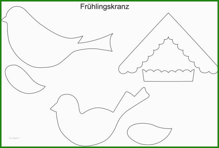 Steckbrief Vorlage Vogel 5 Steckbrief Vorlage Vogel