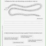 Steckbrief Vorlage Word Pdf