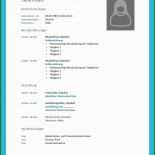 Steckbrief Vorlagen Zum Ausdrucken