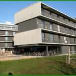 Studentenwohnheim Heidelberg Mietvertrag Kündigen