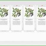 System Etiketten Vorlagen 65x38