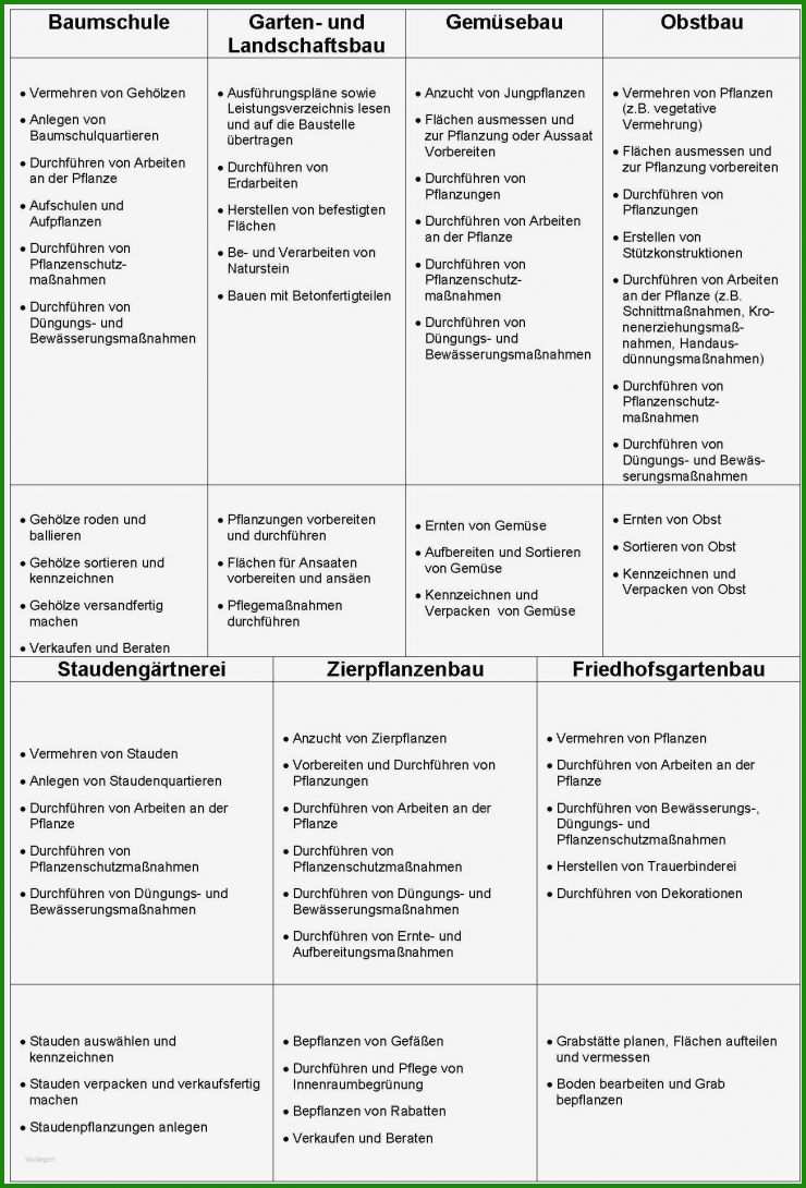 Tagesbericht Praktikum Muster