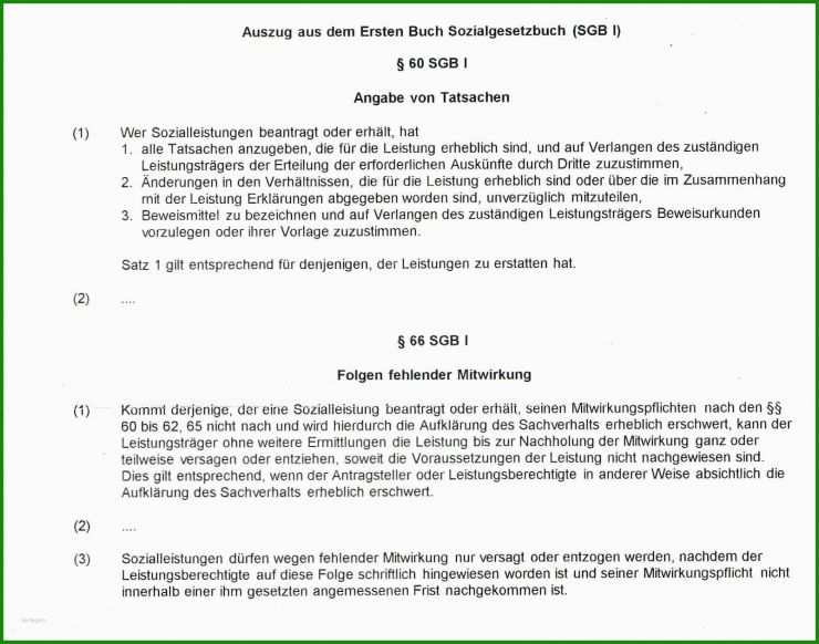 Testament Alleinstehend Kinderlos Muster
