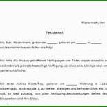 Testament Kostenlose Vorlage