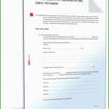 Testament Lebensgefährte Muster