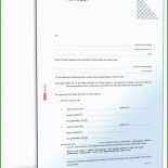 Testament Vorlage Pdf Kostenlos