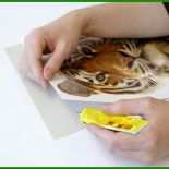 Tiger Basteln Vorlage