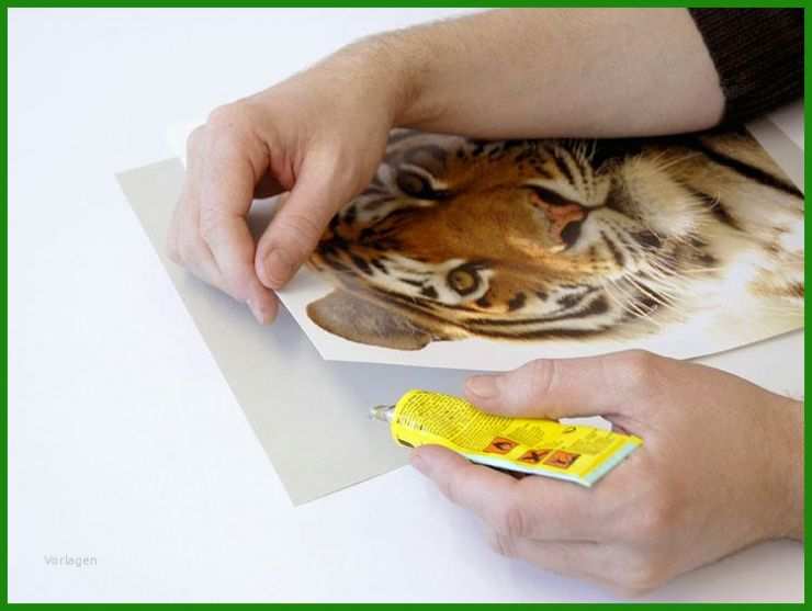 Tiger Basteln Vorlage