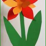 Tonpapier Basteln Vorlagen Blumen