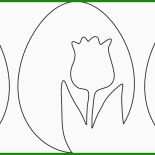 Tulpe Basteln Vorlage 11 Tulpe Basteln Vorlage