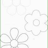 Tulpe Basteln Vorlagen