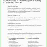 Umtausch Brief Muster