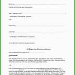 Vertrauensarbeitszeit Muster Arbeitsvertrag 4 Vertrauensarbeitszeit Muster Arbeitsvertrag