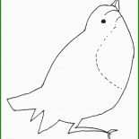 Vogel Basteln Vorlage