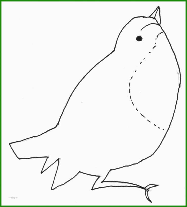 Vogel Basteln Vorlage