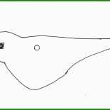 Vögel Vorlagen Basteln