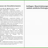 Vollmacht Internationaler Führerschein Vorlage 9 Vollmacht Internationaler Führerschein Vorlage