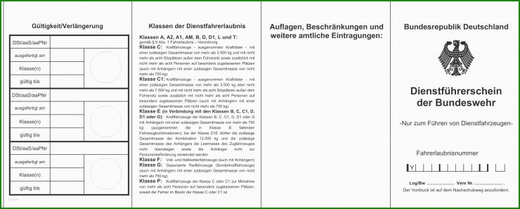 Vollmacht Internationaler Führerschein Vorlage