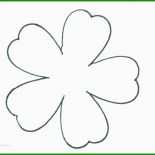 Vorlage Basteln Blume