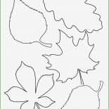 Vorlage Blatt Basteln