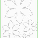 Vorlage Blume Basteln