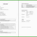 Vorlage Businessplan Agentur Für Arbeit 11 Vorlage Businessplan Agentur Für Arbeit