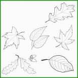 Vorlage Herbst Basteln 2 Vorlage Herbst Basteln