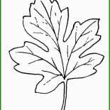 Vorlage Kniffel Blatt