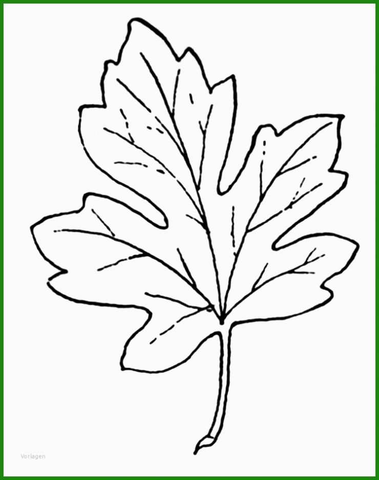 Vorlage Kniffel Blatt