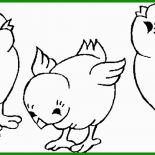 Vorlage Küken Basteln 7 Vorlage Küken Basteln