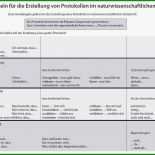 Vorlage Protokoll Besprechung Kostenlos 9 Vorlage Protokoll Besprechung Kostenlos