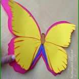 Vorlage Schmetterling Basteln Kostenlos