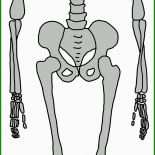 Vorlage Skelett Basteln