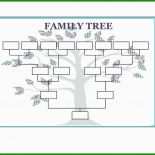 Vorlage Stammbaum Schule