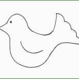 Vorlage Vogel Basteln
