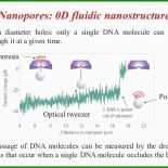 Vorlage Vollmacht Reisepass Kind